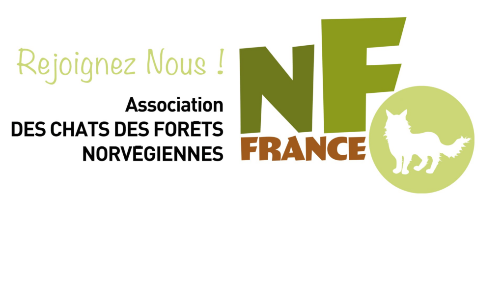 Adhésion Nfo france