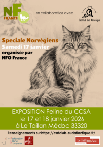 spéciale NFO le taillan Médoc